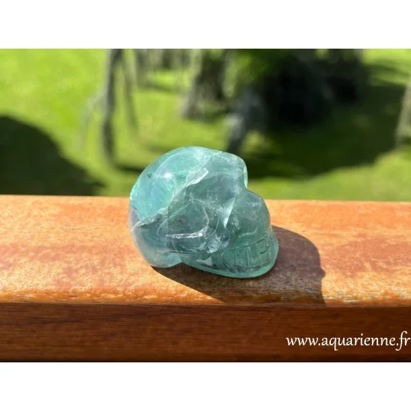 Voici Genius, crâne de cristal en Fluorite verte, guide silencieux et gardien des profondeurs de l’âme. Pièce unique.