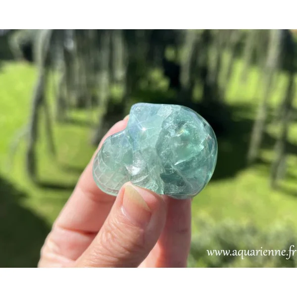Crâne de cristal en fluorite verte, "Genius". Pour la clarté mentale, la protection énergétique et l’éveil intuitif.