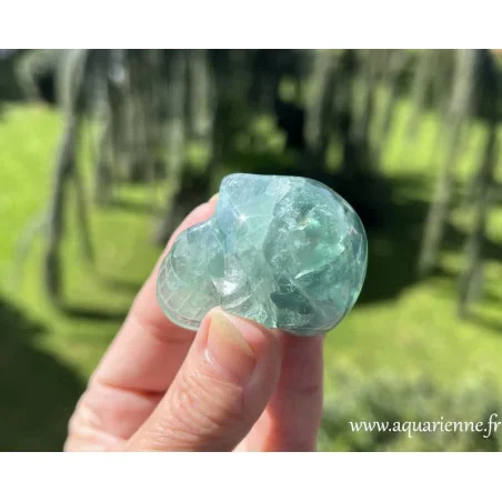 Crâne de cristal en fluorite verte, "Genius". Pour la clarté mentale, la protection énergétique et l’éveil intuitif.