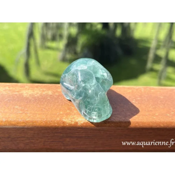 "Genius", crâne en Fluorite est un compagnon protecteur et lumineux, sur le chemin de votre évolution.