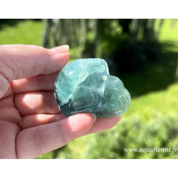Crâne de cristal Fluorite verte "Genius" – Clarté · Protection · Éveil spirituel. Pièce unique de 4,6 cm, pesant 100g.