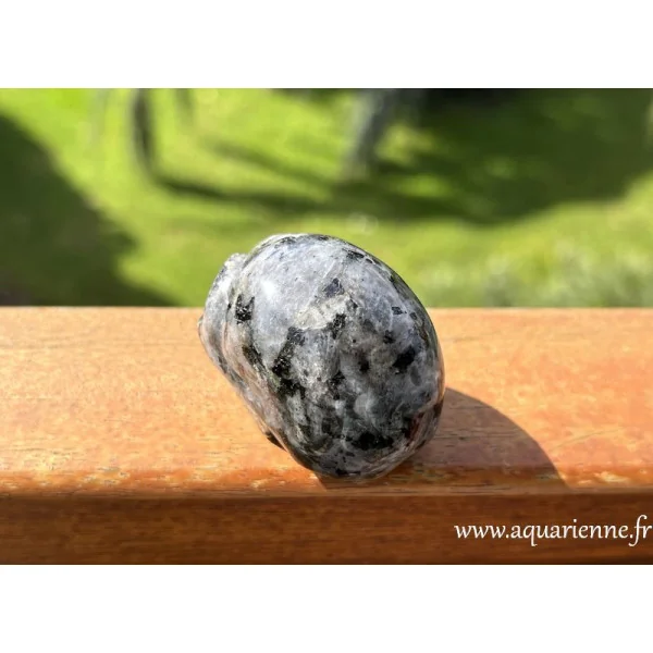 Vue de dessus et de dos de "Lanceline", crâne de cristal en Larvikite. Ancrage, protection, sérénité, patience. Pièce unique.