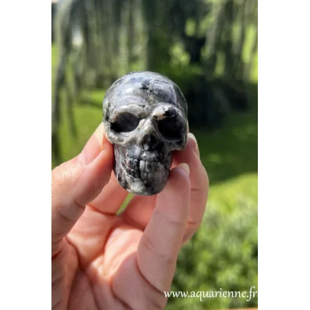 Et si vous deveniez le Gardien ou la Gardienne de Lanceline, crâne de cristal en pierre de Larvikite de Norvège ?
