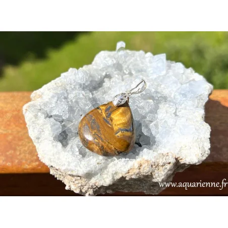 Force, protection et ancrage réunis dans un bijou élégant. Pendentif unique en Œil de Fer et Argent 925. Talisman à s'offrir.