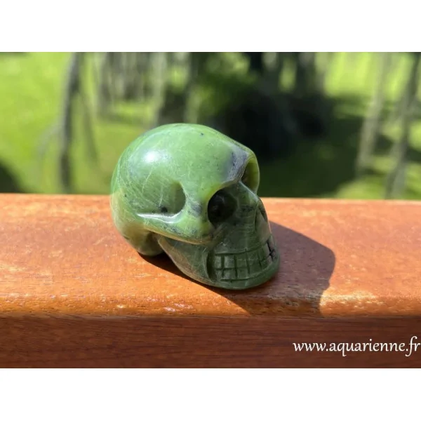 Élevez vos vibrations avec Philaé, crâne de jade vert, pierre qui attire harmonie, chance et abondance. Pièce unique.