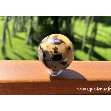 Sphère de Septaria 50 mm sur support – Aquarienne Boutique