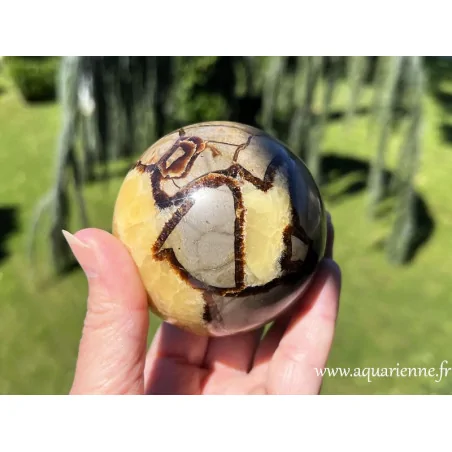 Sphère de Septaria de Madagascar - 77mm - 626g. Ancrage, transformation, joie intérieure. Pièce unique.