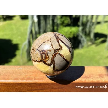 Offrez-vous une sphère unique en Septaria de Madagascar, véritable œuvre de la nature. Ancrage, harmonie intérieure, joie.