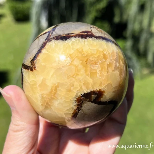 Gros plan sur la partie lumineuse de calcite jaune de cette belle sphère de Septaria de Madagascar. Pièce unique.