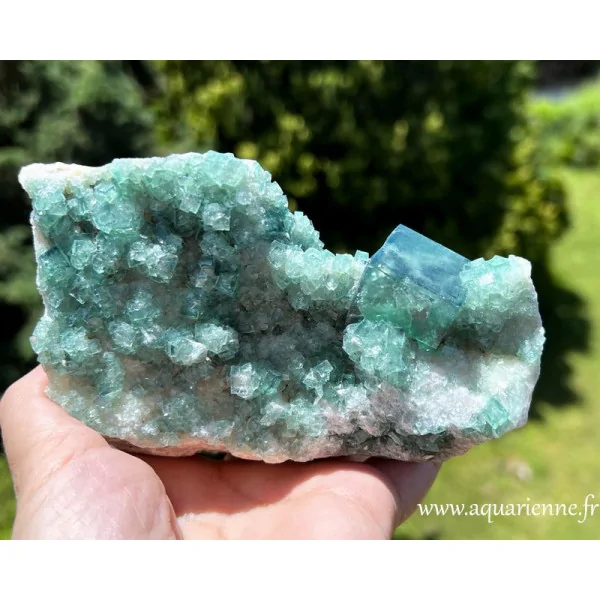 Cristaux de Fluorite verte – Bloc brut sur roche-mère (860g). Favorise clarté, concentration et structuration mentale.
