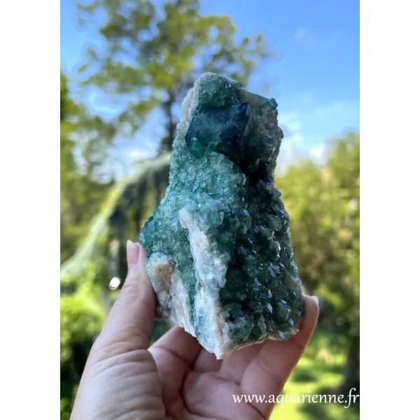 Cristaux de Fluorite verte sur roche-mère. Favorise concentration et structuration mentale. Pièce unique de 860 g.