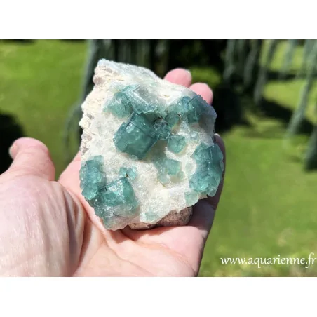 Spécimen de fluorite d'un vert bleuté contrasté sur sa roche-mère blanche de Madagascar, 249 g.