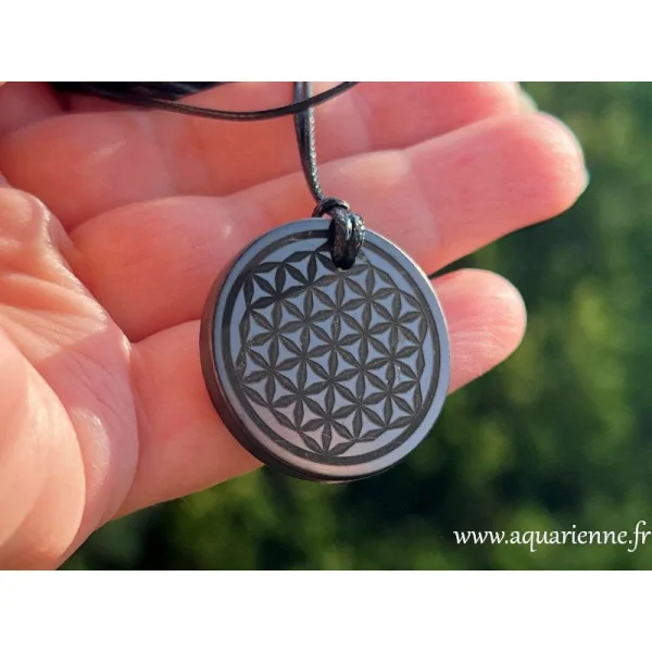 Pendentif énergétique en Shungite 30 mm avec cordon noir – bijou naturel.
