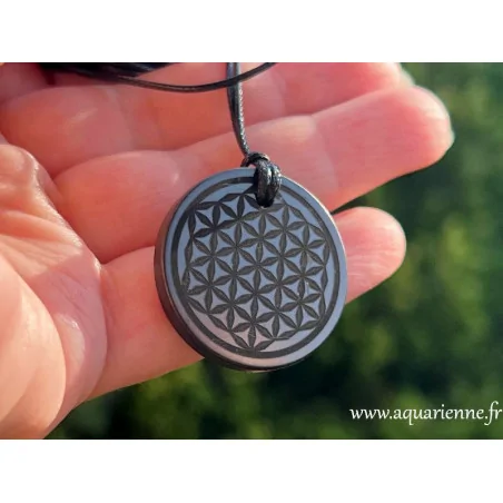 Pendentif énergétique en Shungite 30 mm avec cordon noir – bijou naturel.
