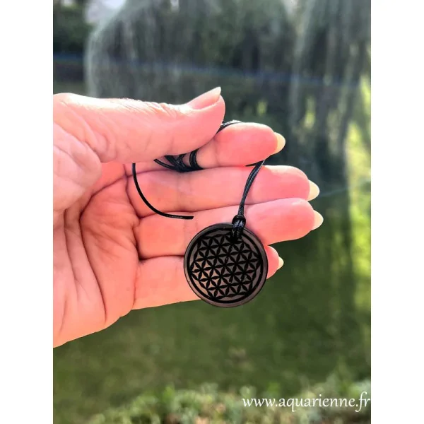 Bijou de protection en Shungite – pendentif artisanal avec symbole sacré