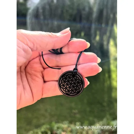 Bijou de protection en Shungite – pendentif artisanal avec symbole sacré