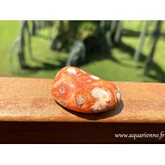 Agate fleur de Madagascar, galet poli main : 70g et 5,7cm. Pierre apaisante, favorise équilibre émotionnel et renouveau.
