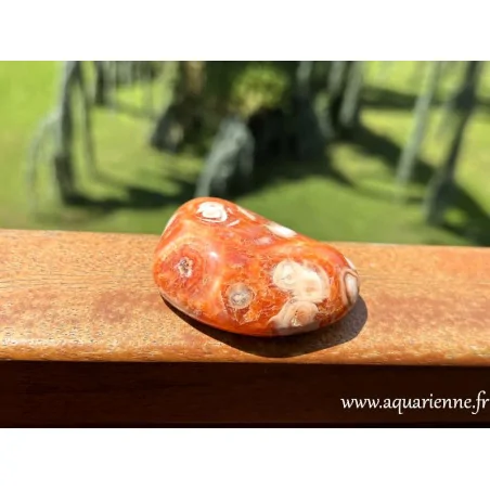 Agate fleur de Madagascar, galet poli main : 70g et 5,7cm. Pierre apaisante, favorise équilibre émotionnel et renouveau.