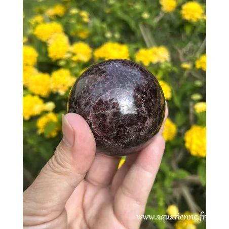 Plongez dans l'éclat profond de cette sphère en Grenatite de Madagascar de 354g. Pièce unique.