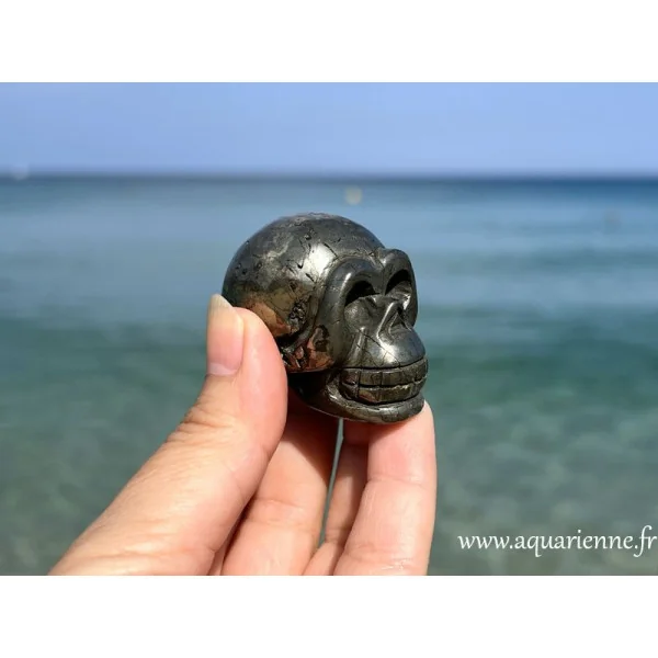 Crâne en pyrite "Cyrus" vu de profil droit, face à la mer.