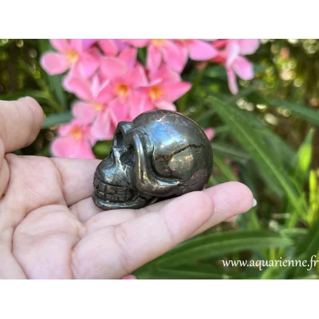 Vue de de profil du crâne de cristal en Pyrite "Cyrus".