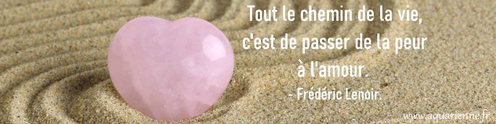 Tout le chemin de la vie, c'est de passer de la peur à l'amour-Frédéric Lenoir