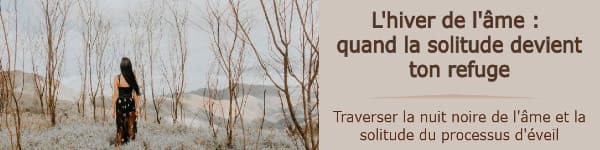 L'hiver de l'âme : quand la solitude devient ton refuge